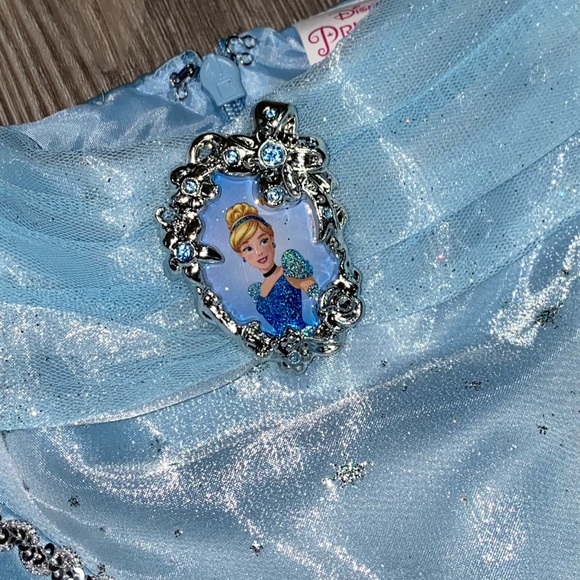 NWOT Chasing Fireflies Disney Cinderella Prestige Costume Halloween 4T/5T - Picture 7 of 12